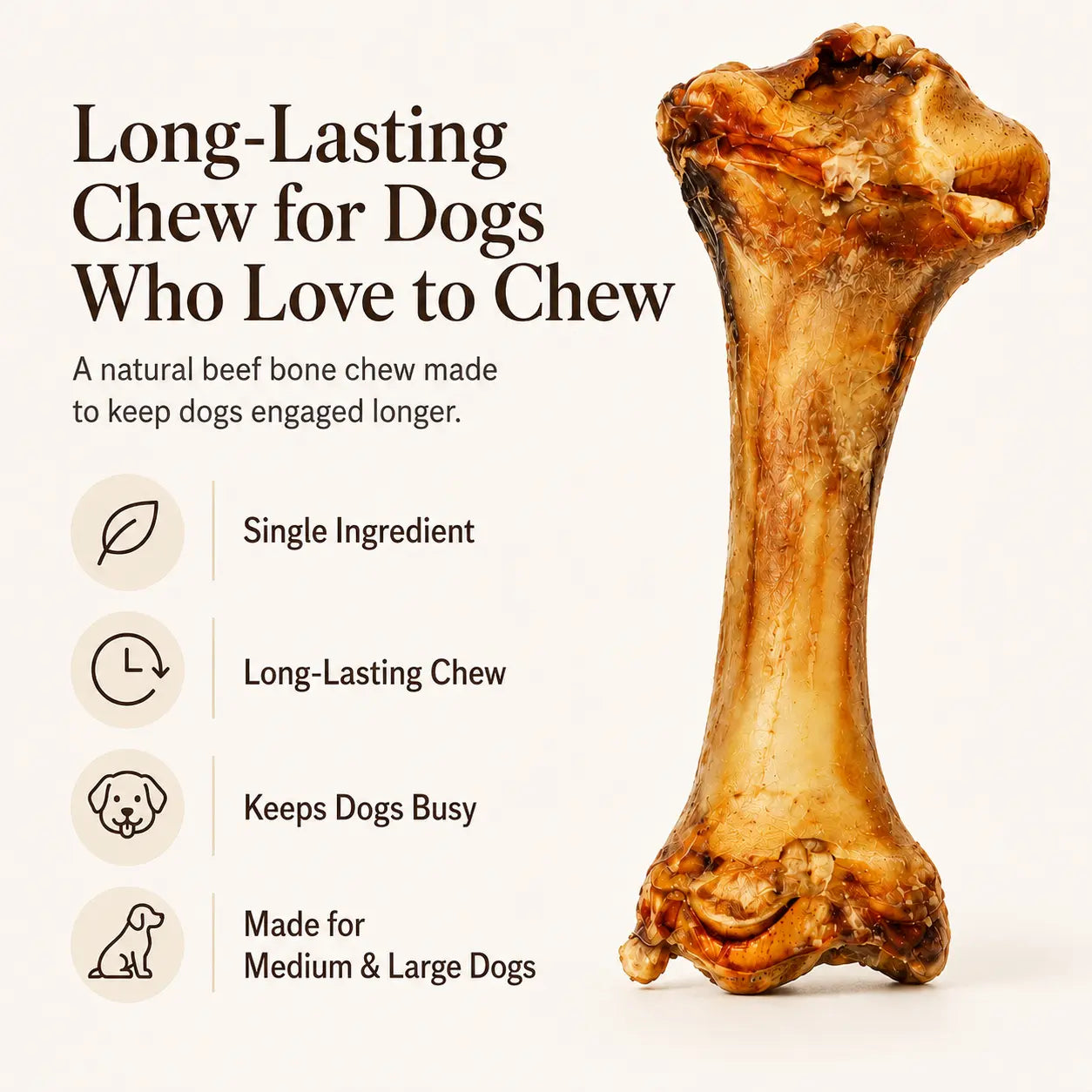 Natural Beef Bone Dog Chew, Long-Lasting Single-Ingredient Roasted Bone Treat for Medium & Large Dogs, Helps Keep Dogs Busy, Supports Healthy Chewing