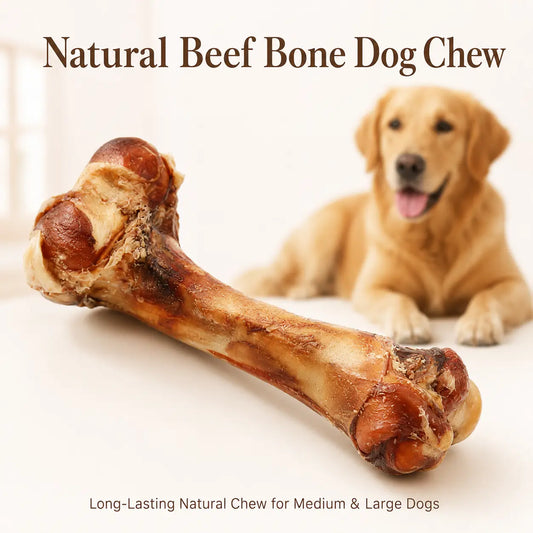 Natural Beef Bone Dog Chew, Long-Lasting Single-Ingredient Roasted Bone Treat for Medium & Large Dogs, Helps Keep Dogs Busy, Supports Healthy Chewing