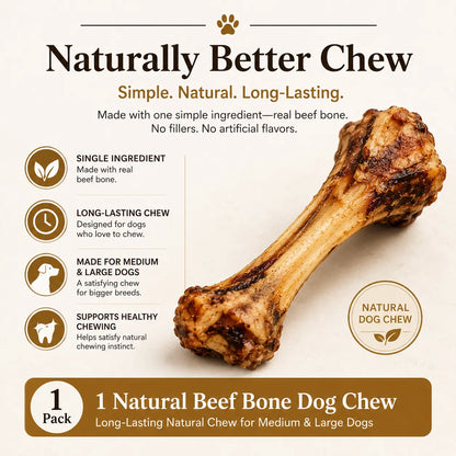 Natural Beef Bone Dog Chew, Long-Lasting Single-Ingredient Roasted Bone Treat for Medium & Large Dogs, Helps Keep Dogs Busy, Supports Healthy Chewing