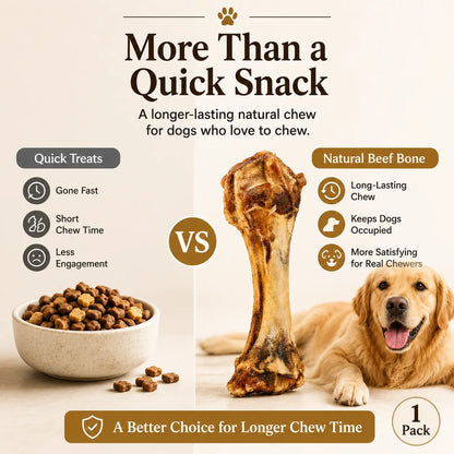 Natural Beef Bone Dog Chew, Long-Lasting Single-Ingredient Roasted Bone Treat for Medium & Large Dogs, Helps Keep Dogs Busy, Supports Healthy Chewing