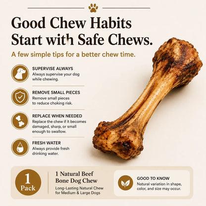 Natural Beef Bone Dog Chew, Long-Lasting Single-Ingredient Roasted Bone Treat for Medium & Large Dogs, Helps Keep Dogs Busy, Supports Healthy Chewing