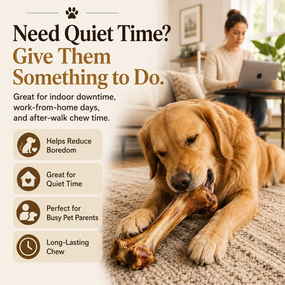 Natural Beef Bone Dog Chew, Long-Lasting Single-Ingredient Roasted Bone Treat for Medium & Large Dogs, Helps Keep Dogs Busy, Supports Healthy Chewing
